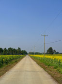 ทุ่งดอกทานตะวันเขาจีนแล อ.เมือง จ.ลพบุรี